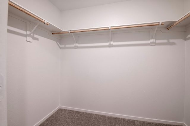 25296 Leather Leaf Court, Montgomery, TX 77316