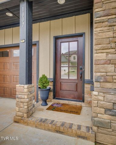 1007 Shadyside Drive, Kingsport, TN 37663