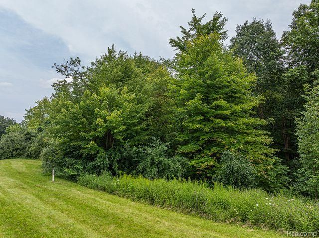 7513 Maple Ridge Drive, Independence Charter Township, MI 48346