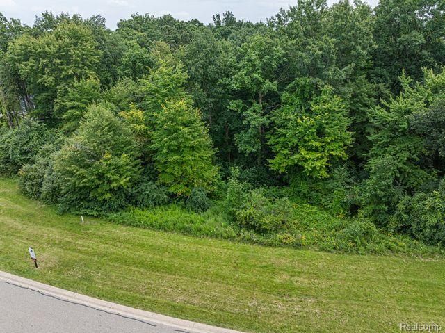 7513 Maple Ridge Drive, Independence Charter Township, MI 48346
