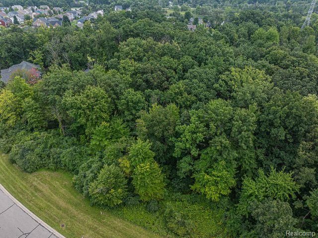 7513 Maple Ridge Drive, Independence Charter Township, MI 48346