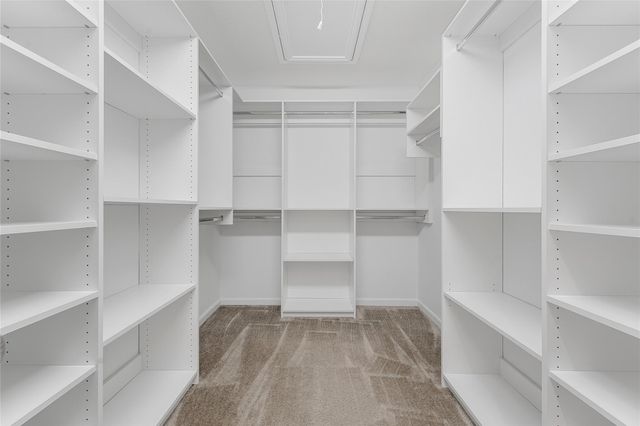 5922 River Timber Trl, Humble, TX 77346