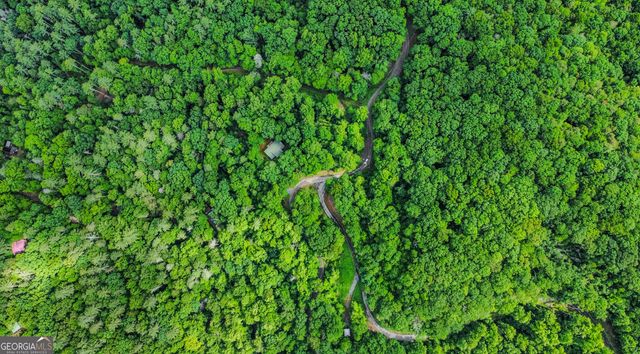 5.58 Gobbler Knob Drive, Ellijay, GA 30540