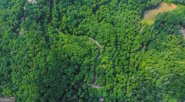 5.58 Gobbler Knob Drive, Ellijay, GA 30540