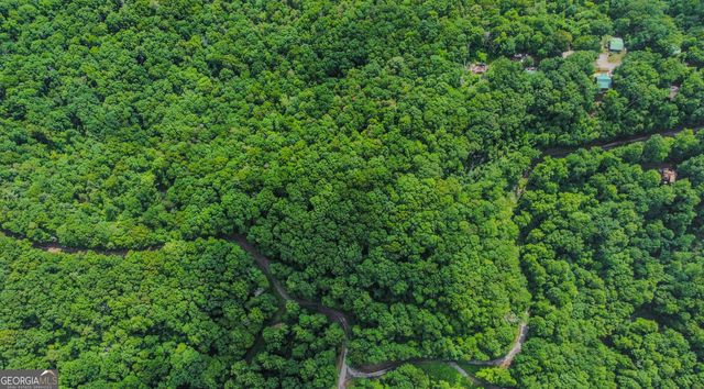 5.58 Gobbler Knob Drive, Ellijay, GA 30540