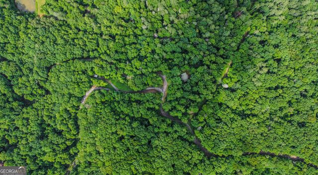 5.58 Gobbler Knob Drive, Ellijay, GA 30540