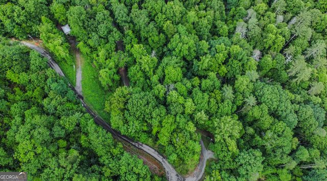 5.58 Gobbler Knob Drive, Ellijay, GA 30540