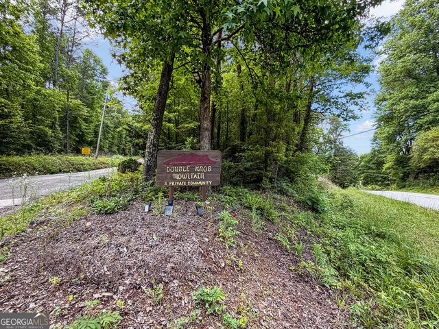 5.58 Gobbler Knob Drive, Ellijay, GA 30540