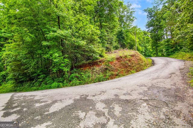 5.58 Gobbler Knob Drive, Ellijay, GA 30540
