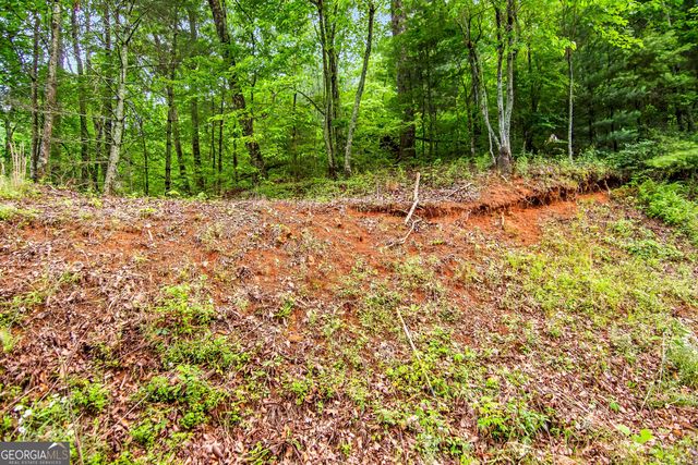 5.58 Gobbler Knob Drive, Ellijay, GA 30540