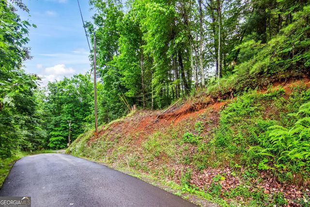 5.58 Gobbler Knob Drive, Ellijay, GA 30540