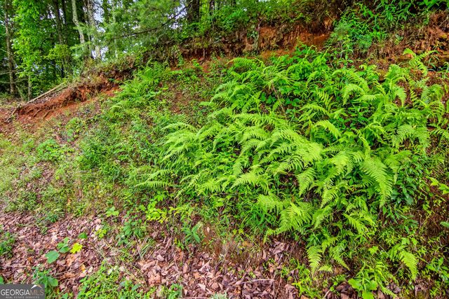 5.58 Gobbler Knob Drive, Ellijay, GA 30540