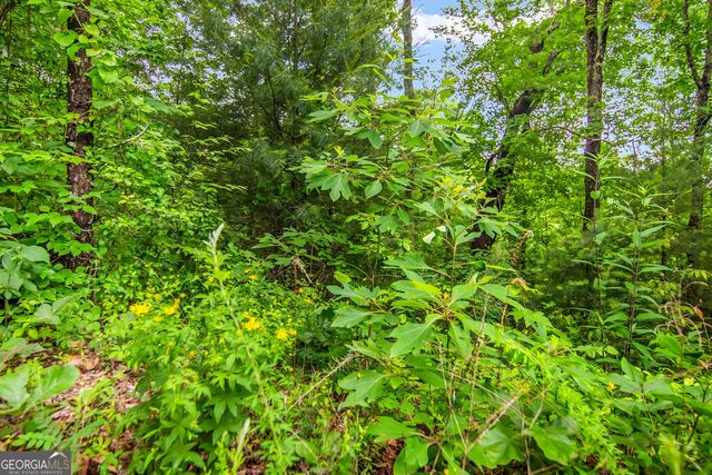 5.58 Gobbler Knob Drive, Ellijay, GA 30540