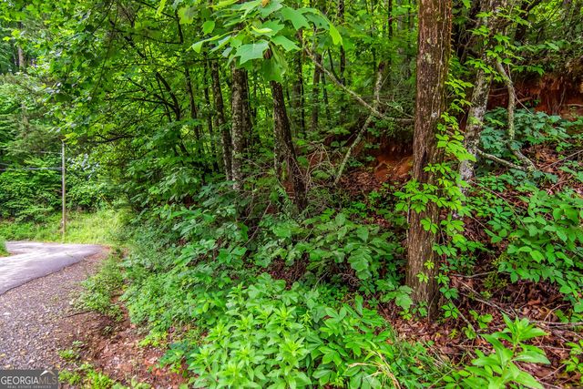 5.58 Gobbler Knob Drive, Ellijay, GA 30540