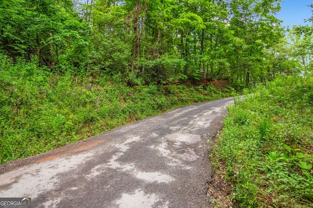 5.58 Gobbler Knob Drive, Ellijay, GA 30540