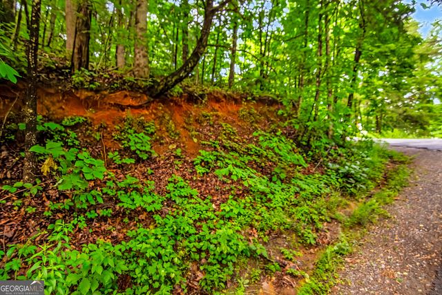 5.58 Gobbler Knob Drive, Ellijay, GA 30540