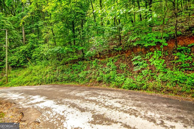 5.58 Gobbler Knob Drive, Ellijay, GA 30540