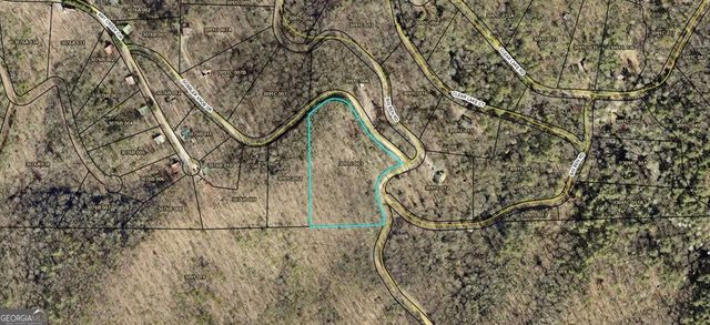 5.58 Gobbler Knob Drive, Ellijay, GA 30540