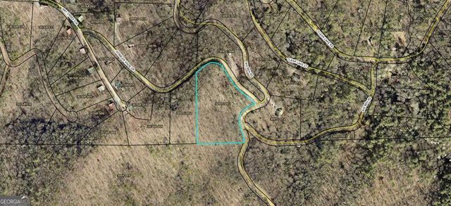 5.58 Gobbler Knob Drive, Ellijay, GA 30540