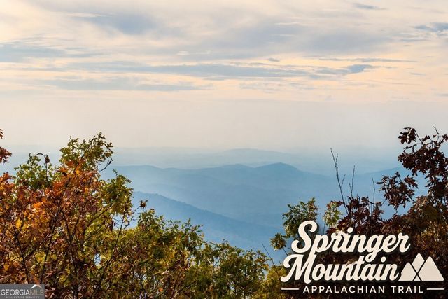 5.58 Gobbler Knob Drive, Ellijay, GA 30540