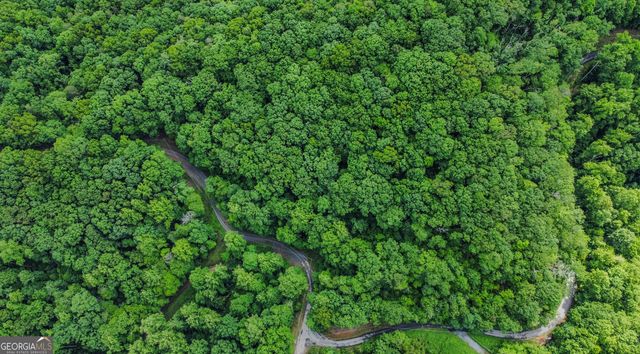 5.58 Gobbler Knob Drive, Ellijay, GA 30540
