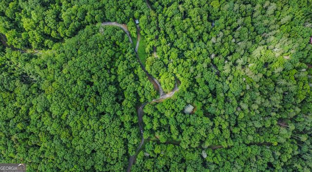 5.58 Gobbler Knob Drive, Ellijay, GA 30540