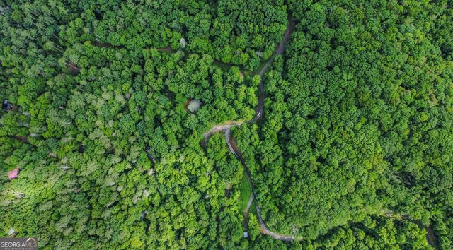 5.58 Gobbler Knob Drive, Ellijay, GA 30540