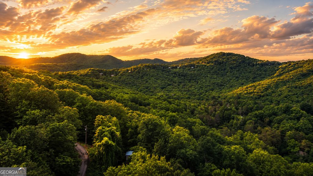 5.58 Gobbler Knob Drive, Ellijay, GA 30540