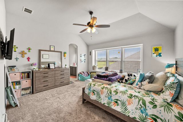 1132 Apple Grove Lane, Waxahachie, TX 75165