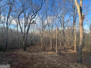 LOT 57 Teel Mtn Drive, Cleveland, GA 30528
