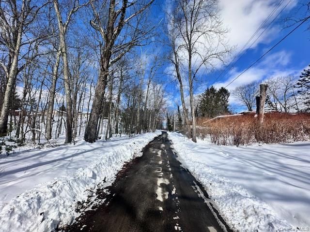 9 Elm Road, Wurtsboro, NY 12790
