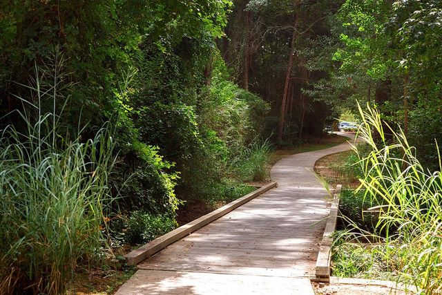 157 Pine Crest Circle, Montgomery, TX 77316