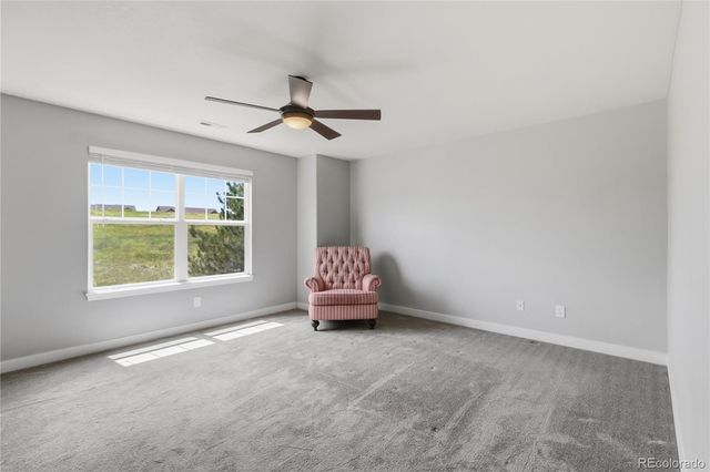 3583 Brushwood Drive, Castle Rock, CO 80109