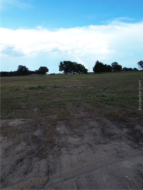0 Grant Prairie Rd, Franklin, TX 77856 — photo 4