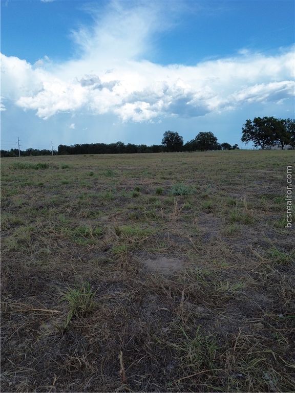 0 Grant Prairie Rd, Franklin, TX 77856 — photo 5