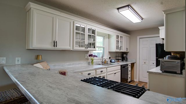 3816 Hopwood Avenue, Guntersville, AL 35976