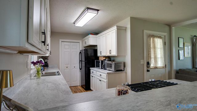 3816 Hopwood Avenue, Guntersville, AL 35976