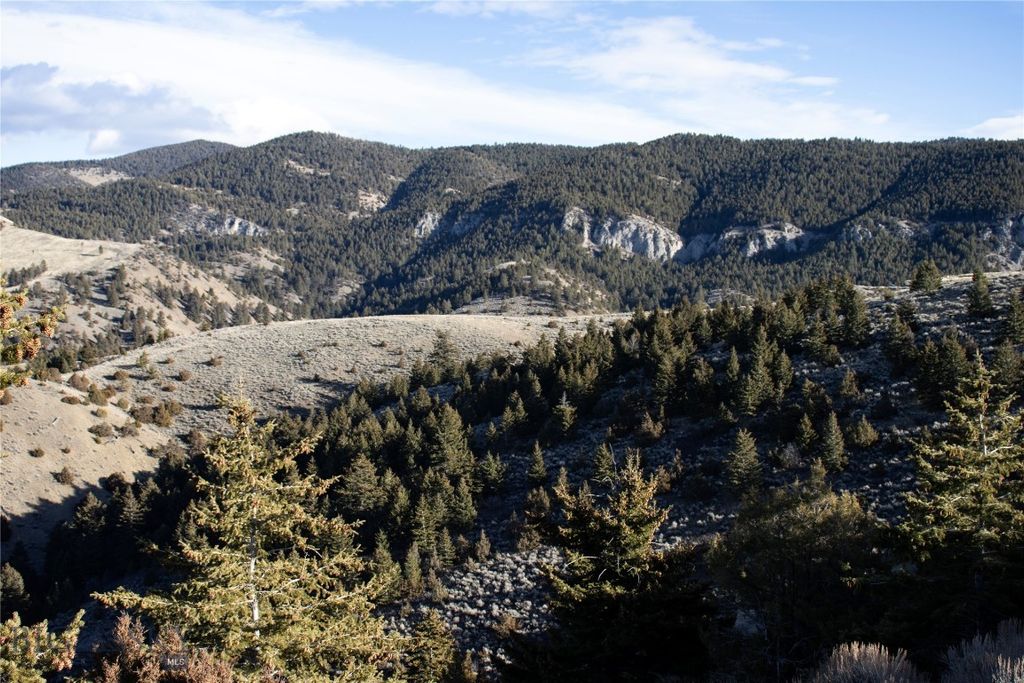 Lot 330 Lone Wolf Trail, Clarkston, MT 59752 photo 19