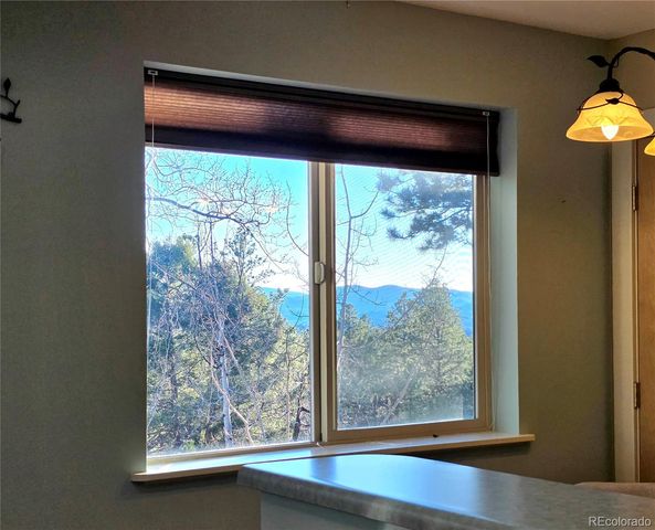 2063 Vagabond Creek Drive, Lake George, CO 80827