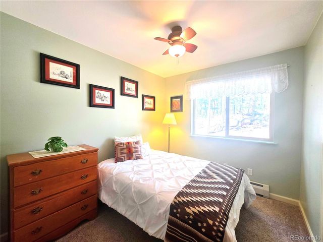 2063 Vagabond Creek Drive, Lake George, CO 80827