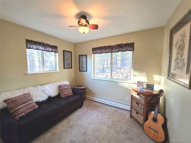 2063 Vagabond Creek Drive, Lake George, CO 80827