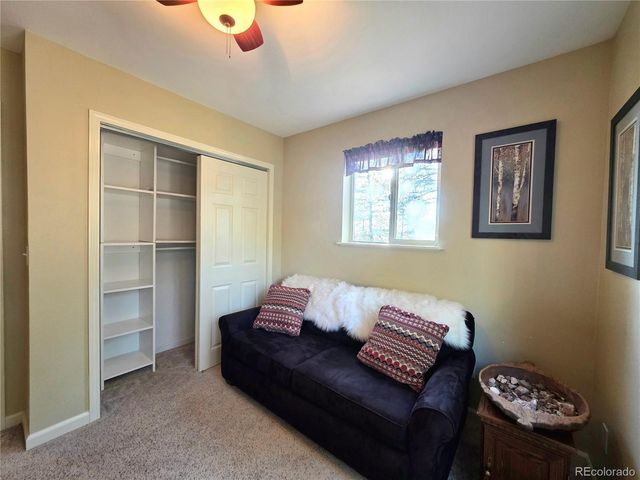 2063 Vagabond Creek Drive, Lake George, CO 80827