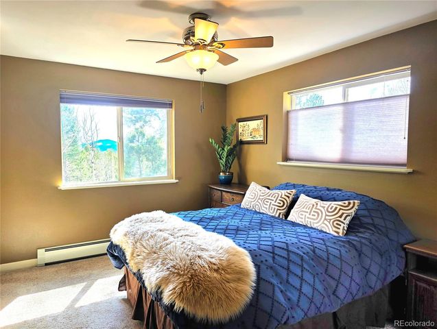 2063 Vagabond Creek Drive, Lake George, CO 80827