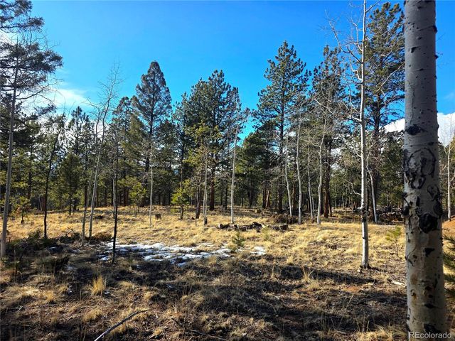 2063 Vagabond Creek Drive, Lake George, CO 80827