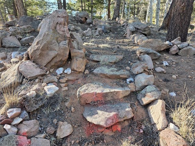 2063 Vagabond Creek Drive, Lake George, CO 80827