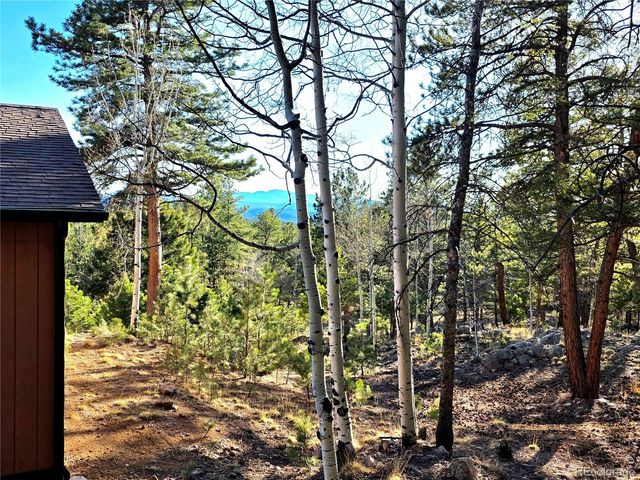 2063 Vagabond Creek Drive, Lake George, CO 80827