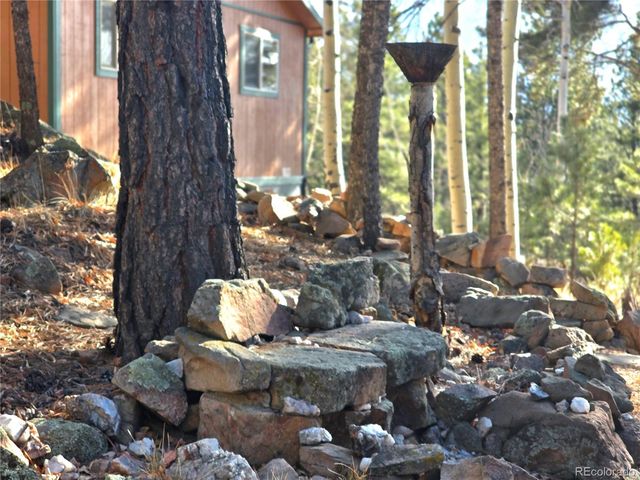 2063 Vagabond Creek Drive, Lake George, CO 80827