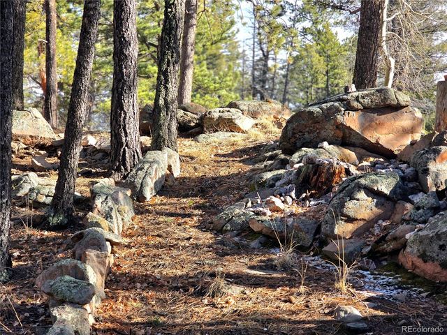 2063 Vagabond Creek Drive, Lake George, CO 80827