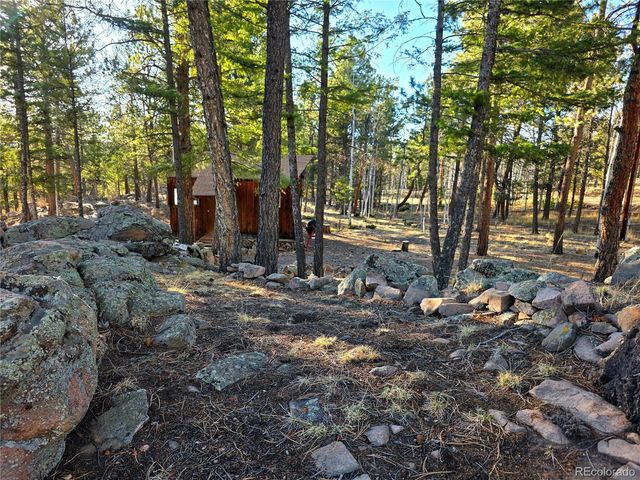 2063 Vagabond Creek Drive, Lake George, CO 80827