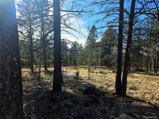 2063 Vagabond Creek Drive, Lake George, CO 80827